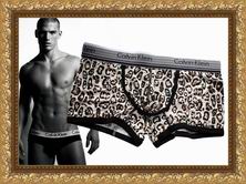 ������� ����� Calvin Klein Underwear 365