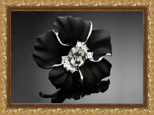 ��������� ������ Black Rose