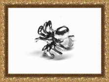 ������� ������ - ������� Spider